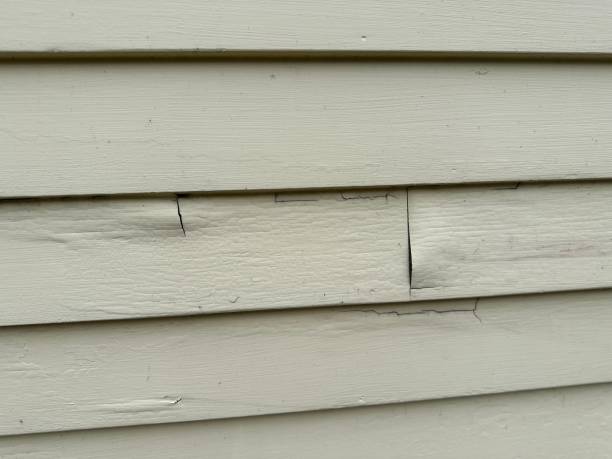 Best Siding for New Construction  in Amador Pines, CA